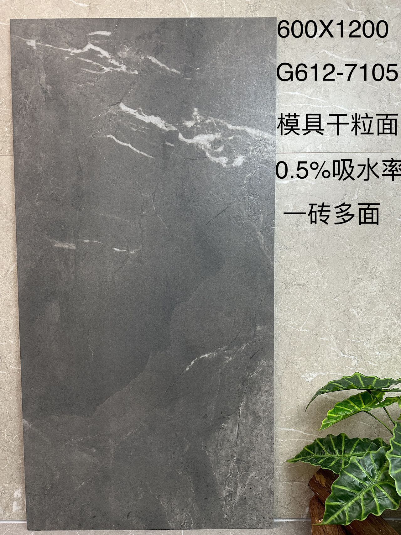 贝斯G612-7105  起伏模具面 通体斑点底 一砖八面