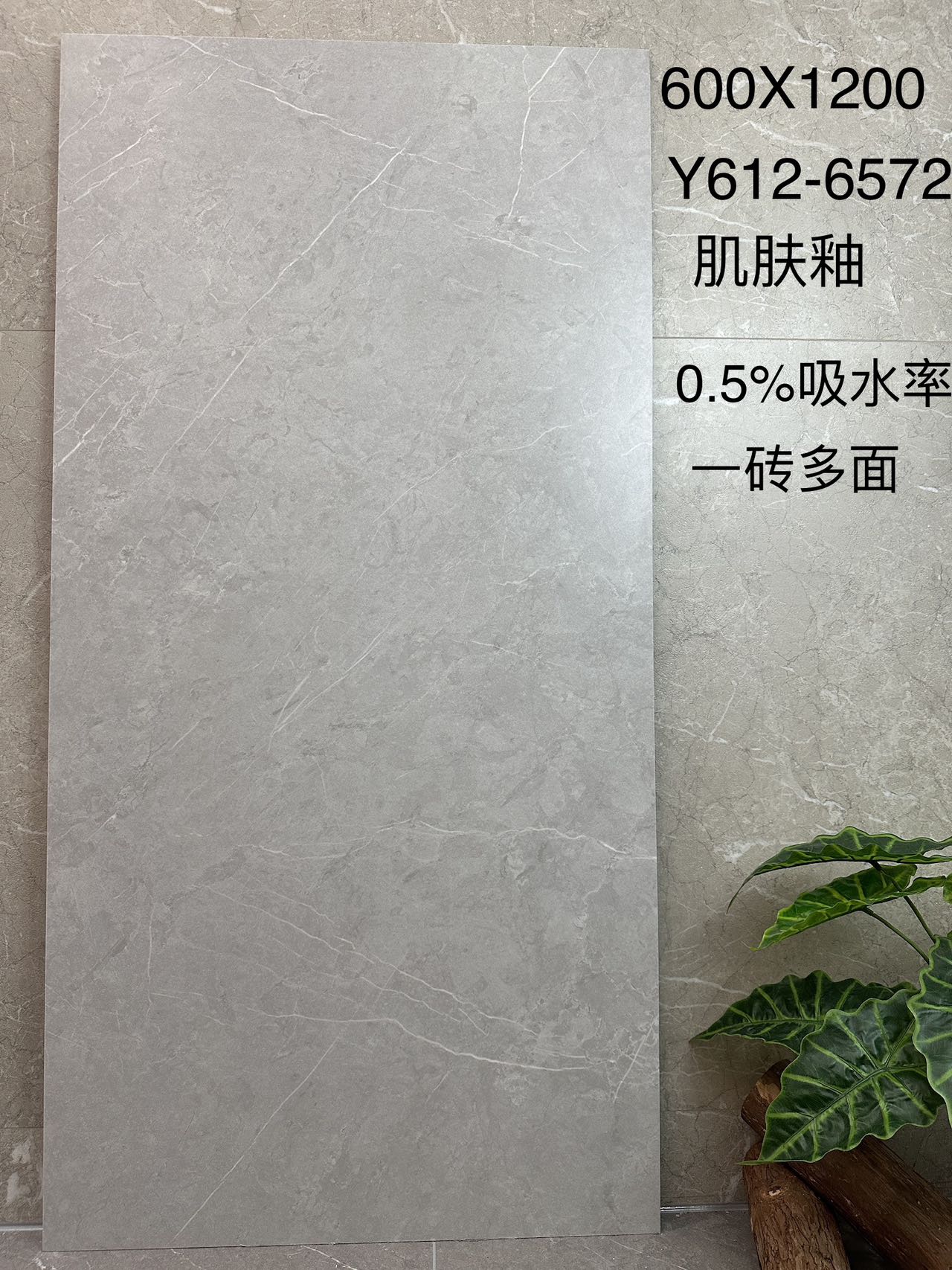 阿迪斯灰Y612-6572 数码釉精雕面 一石五面 通体斑点底