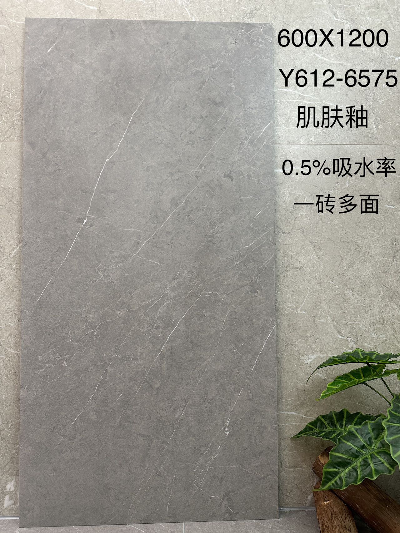 阿迪斯灰Y612-6575 数码釉精雕面 一石五面 通体斑点底