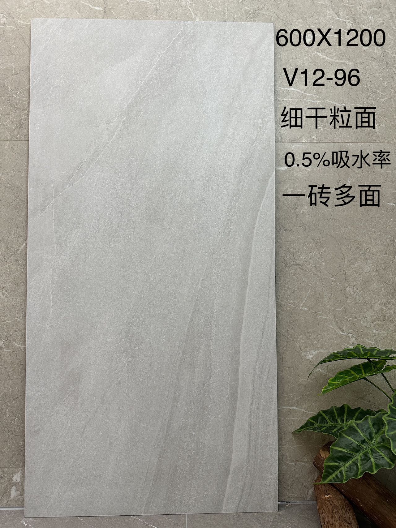 西班牙砂岩V12-96 自然仿古面 通体斑点底 0.5%吸水率