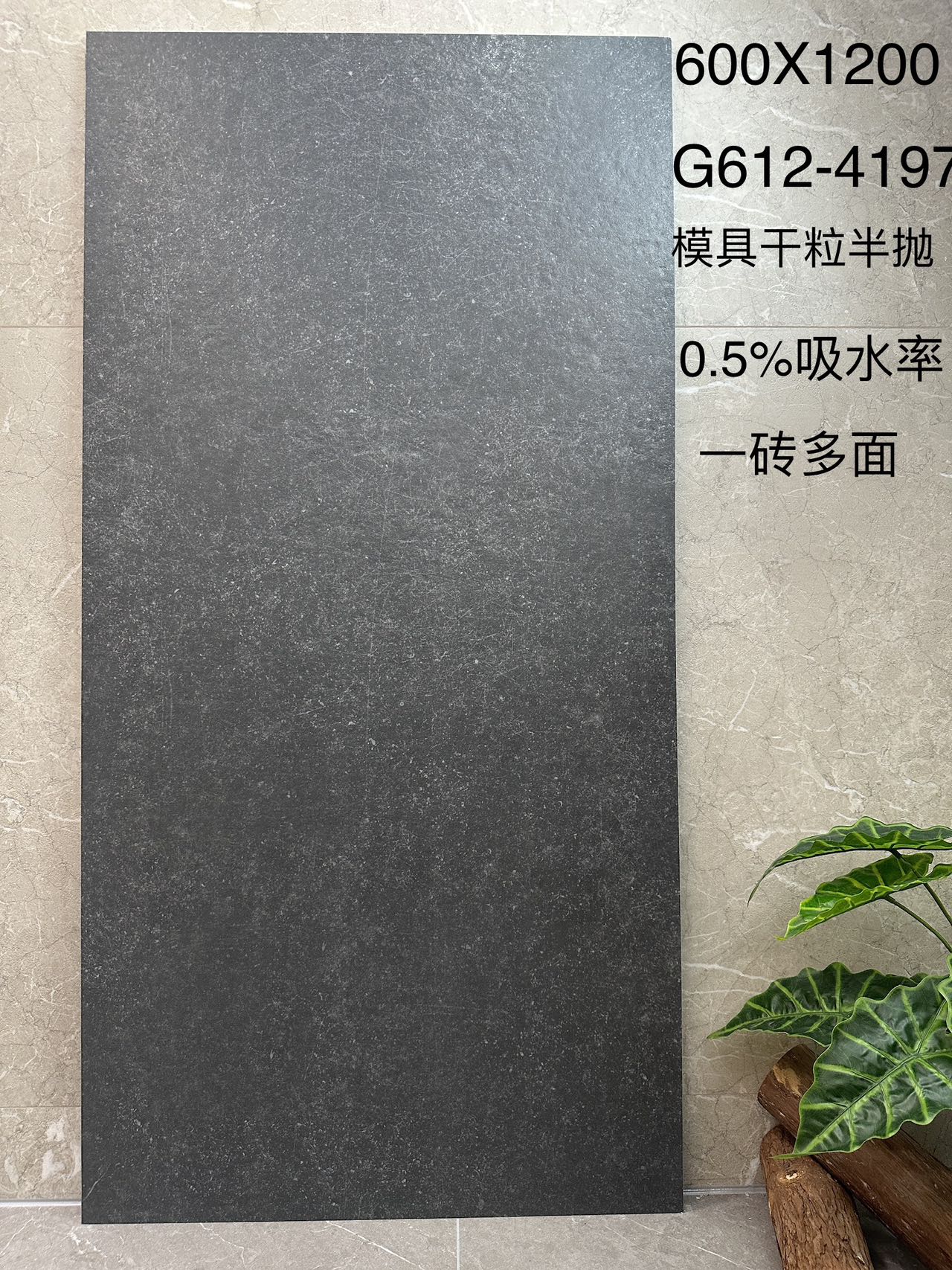 莫奈印象 G612-4197 模具面  干粒半抛 通体底 双0吸水率