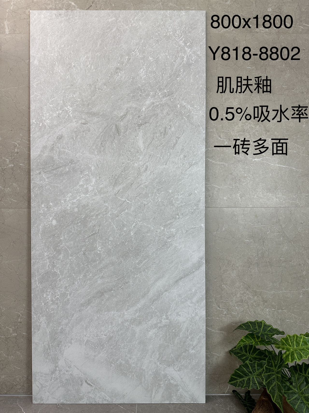 阿迪斯室内砖 数码釉精雕面 太空石Y818-8802 一石多面 通体斑点底 0.5%吸水率