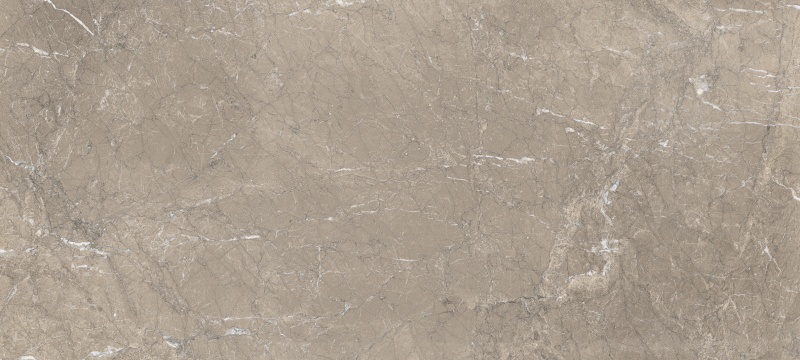 G818-9901-220115（5）