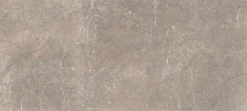 G818-9901-220115（4）