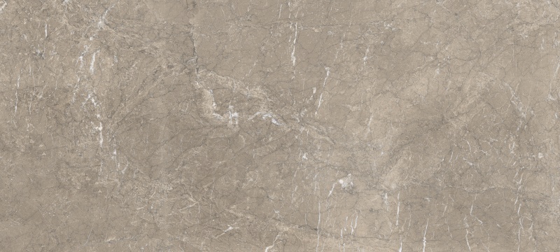 G818-9901-220115（2）