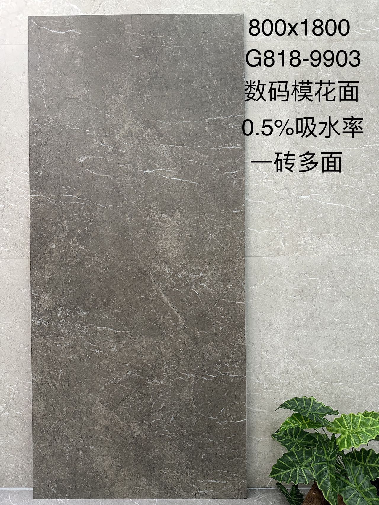 阿迪斯室内砖 数码模花臻石面 星际石G818-9903 一石多面 通体斑点底 0.5%吸水率