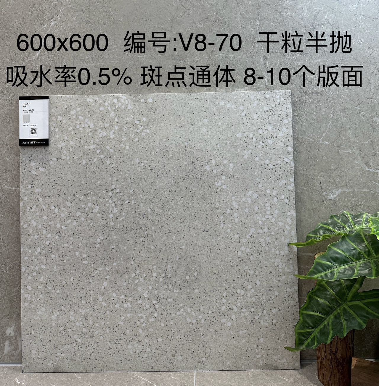 阿迪斯室内砖 干粒半抛面 海伦V8-70 通体斑点底