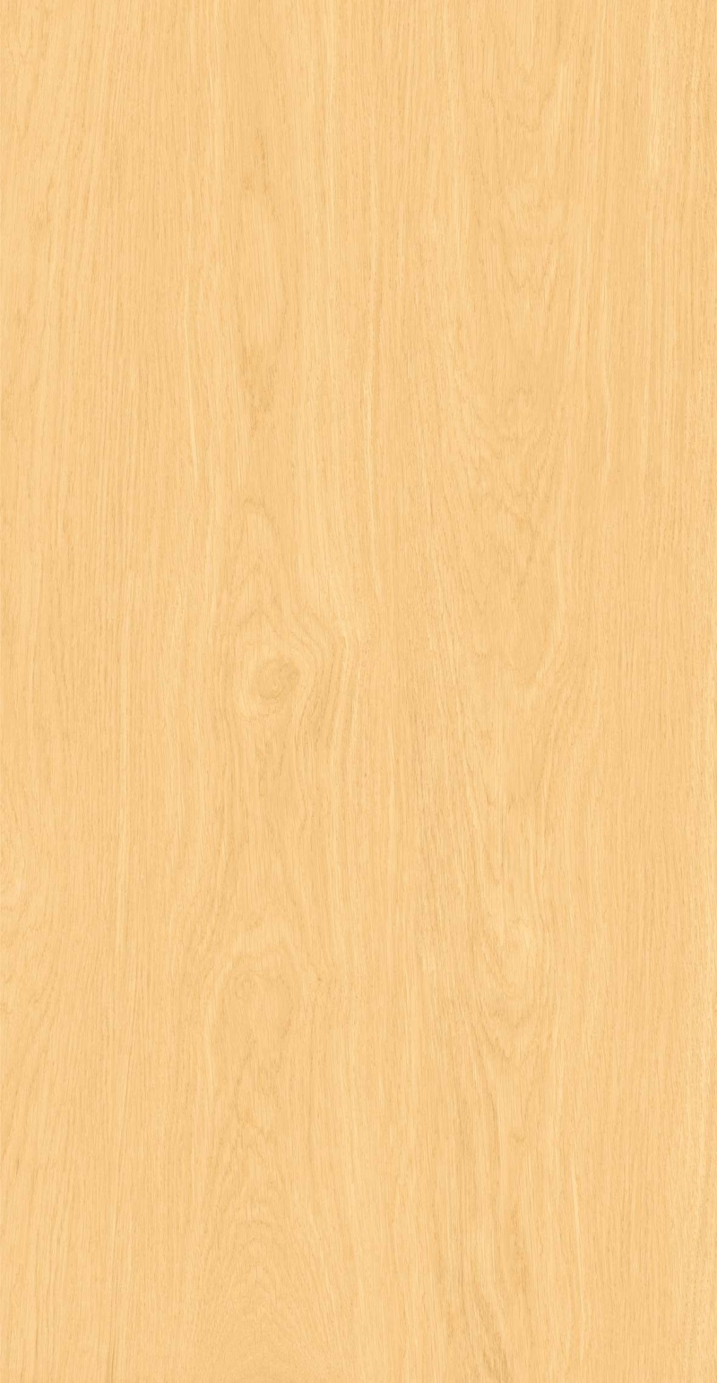 FP126608-初秋白杨_02