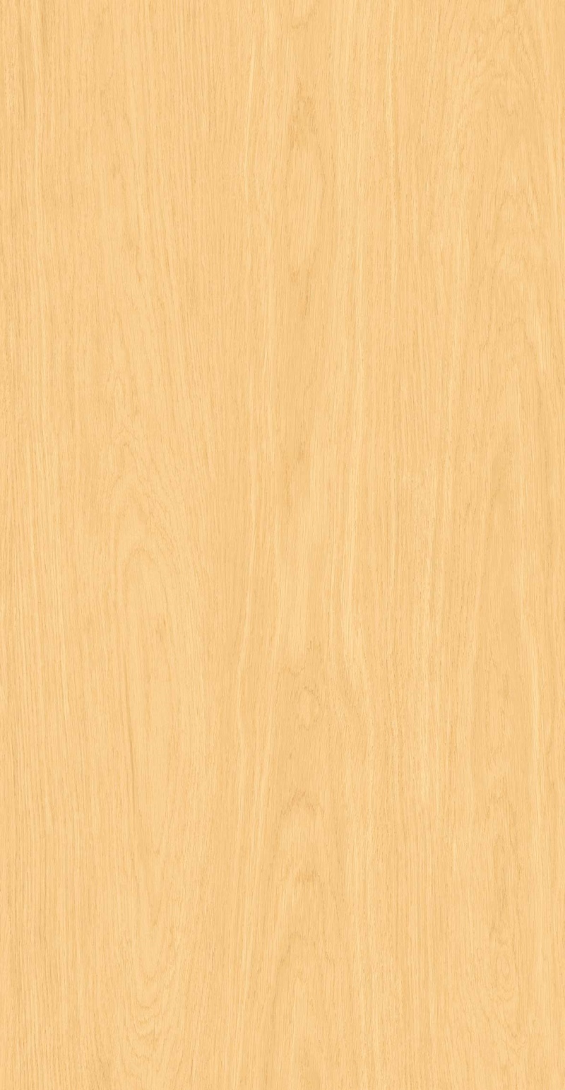 FP126608-初秋白杨_04