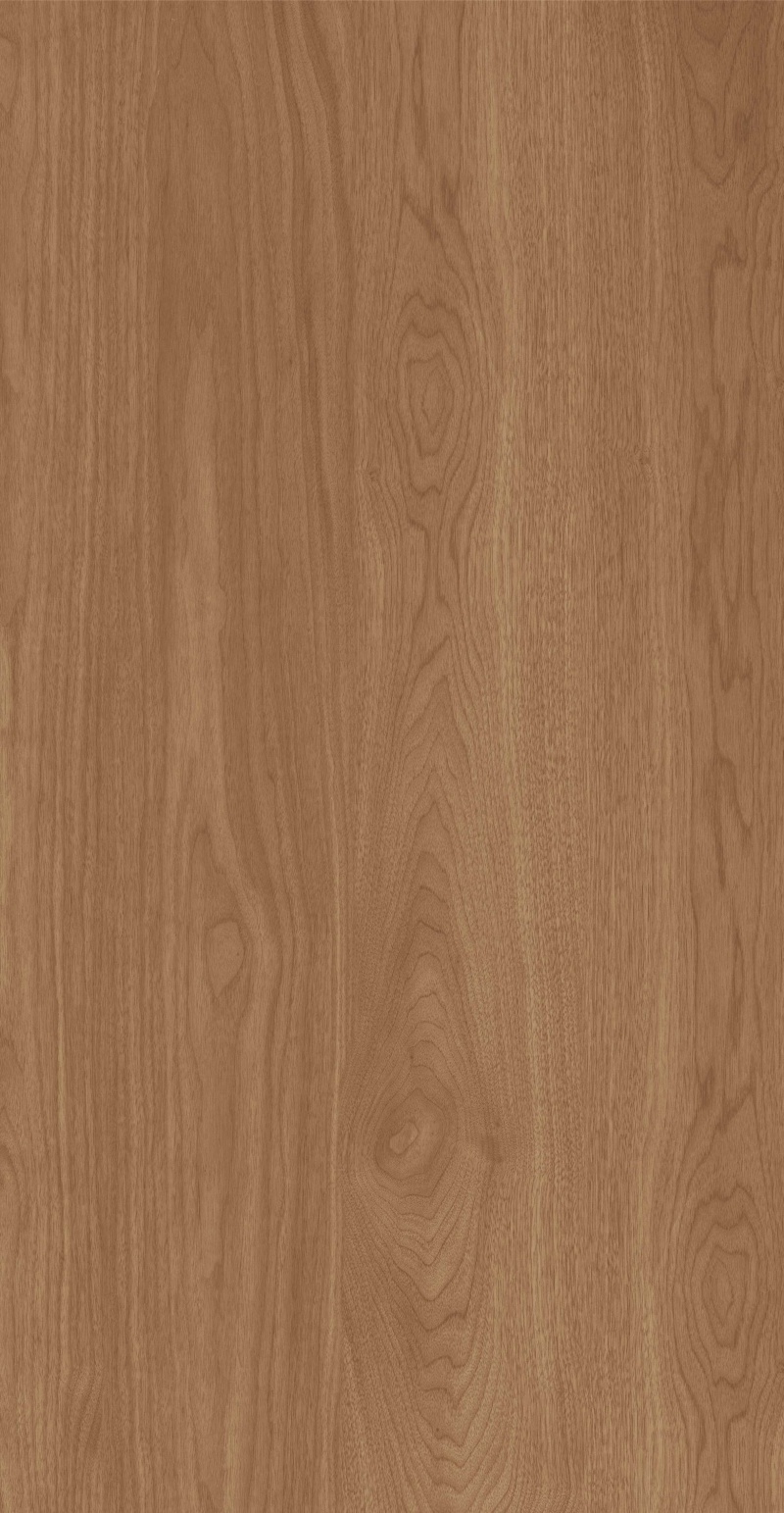 FP126605-南亚桃木_02