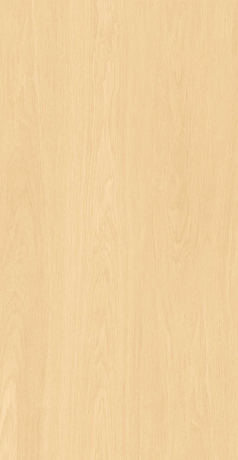 FP126603-大阪雅致_02