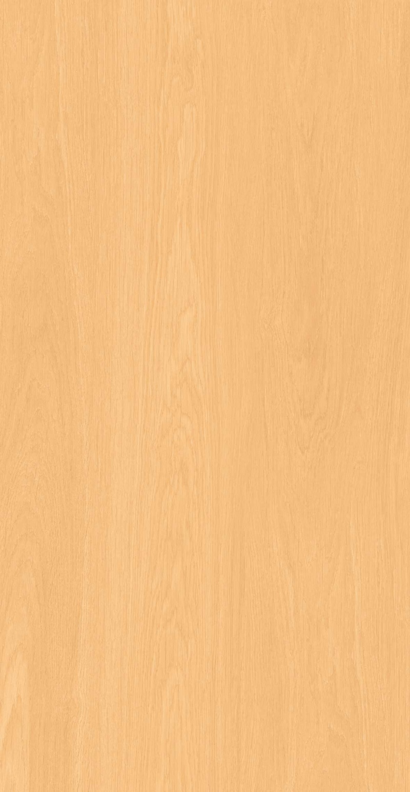 FP126602-大阪印象_02