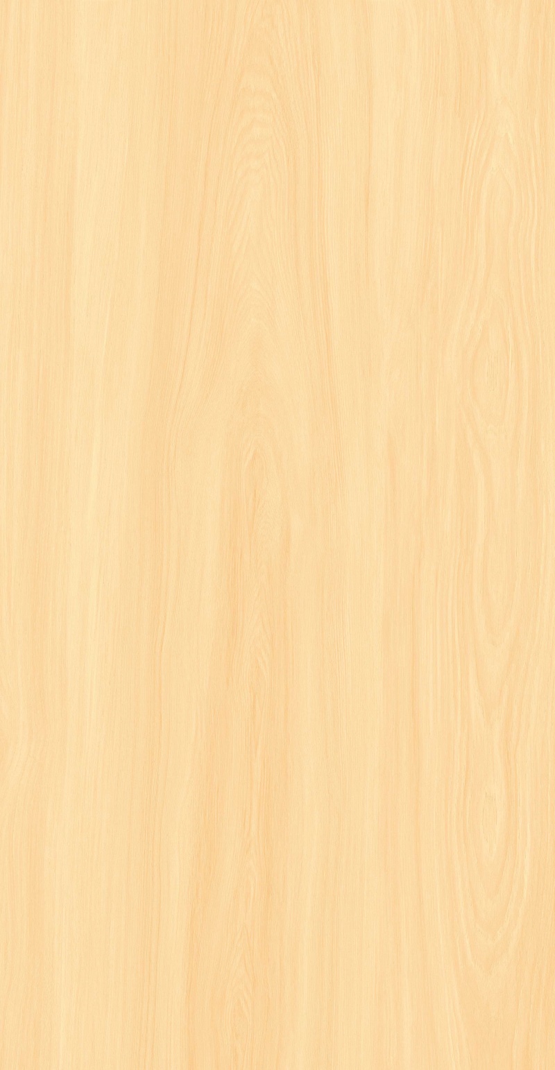 FP126601-暮黄梧桐_05