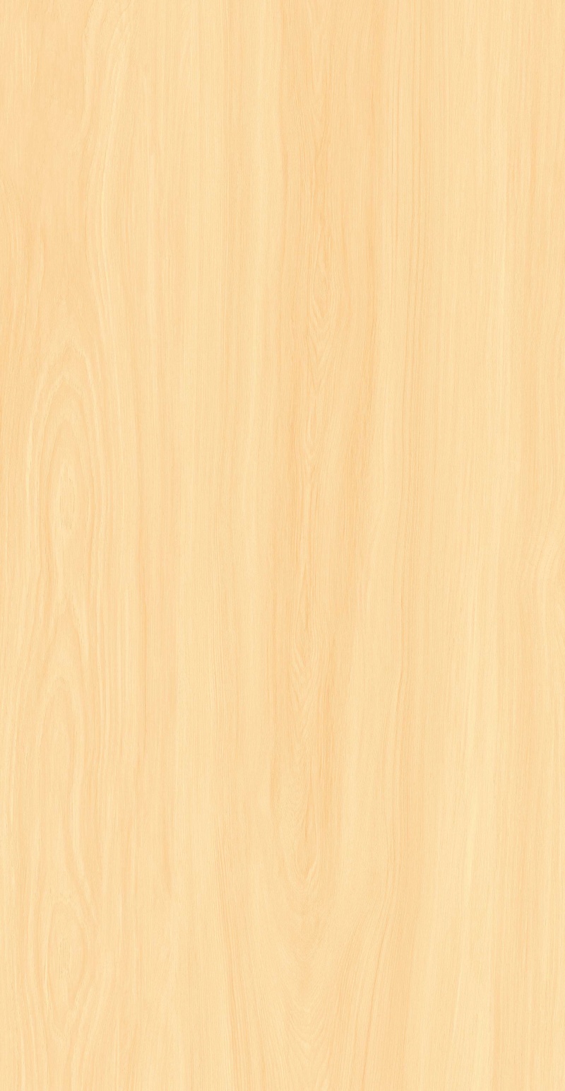 FP126601-暮黄梧桐_07