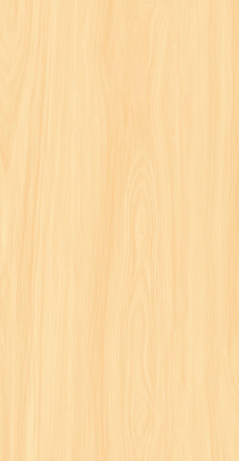 FP126601-暮黄梧桐_06