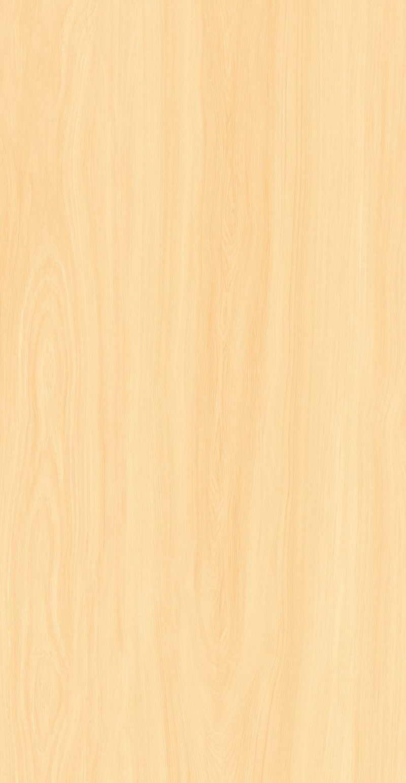 FP126601-暮黄梧桐_01