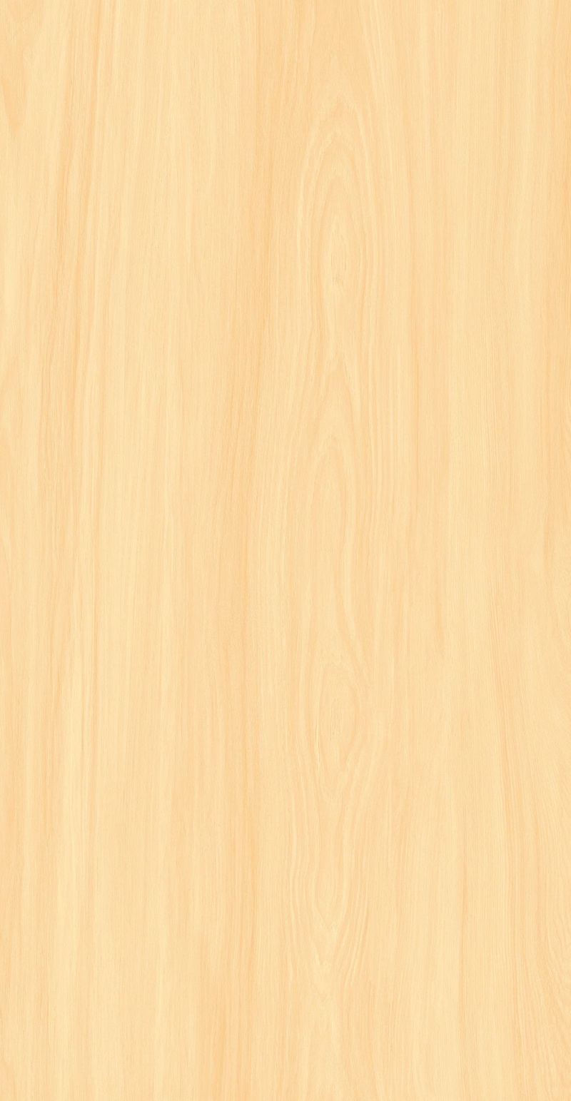 FP126601-暮黄梧桐_02