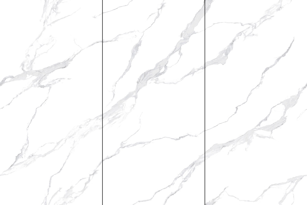 PTG918RL58-上下左右连-皇家鱼肚白