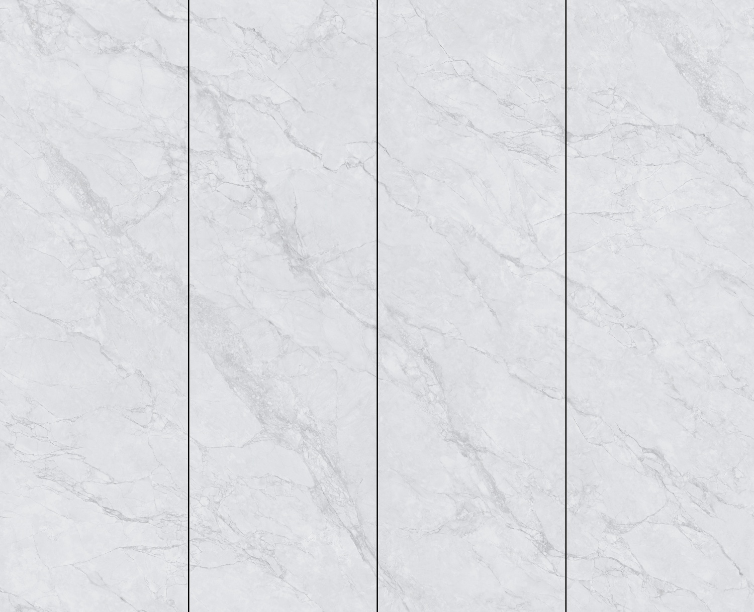 ZS80260-014--上下左右连-皇家鱼肚灰