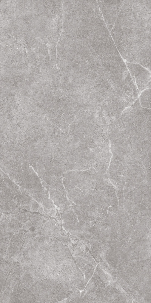 SR918812-文莱浅灰-1