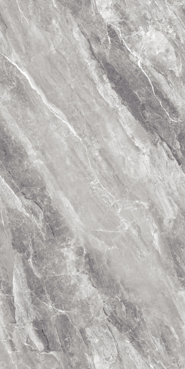 GT918006-大斑岩-2