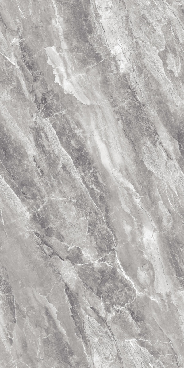 GT918006-大斑岩-1