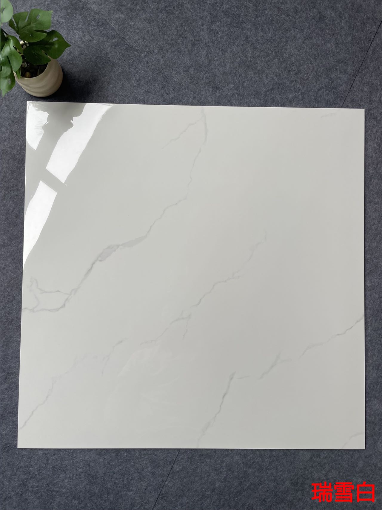 亮光 金刚通体大理石 GT8879瑞雪白 一石五面 自由连纹 亮光通体