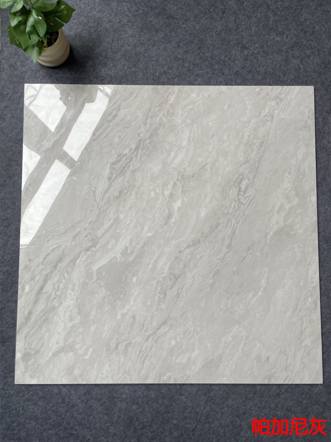 亮光 金刚通体大理石 GT8861帕加尼灰 一石五面 自由连纹 亮光通体