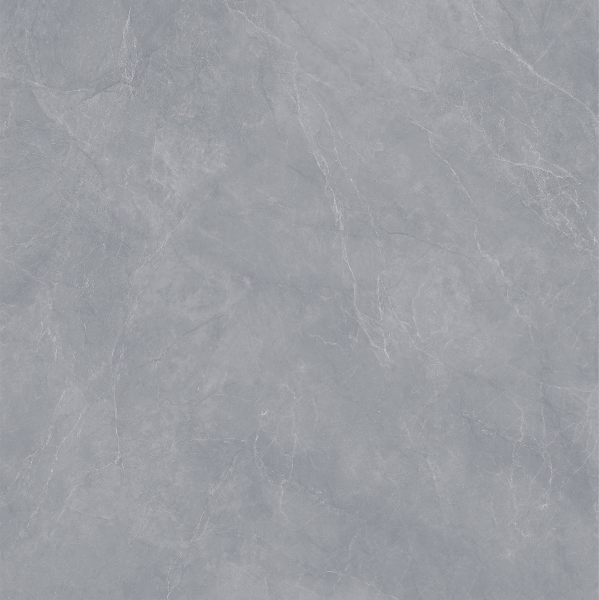 GTL81125M-海鸥灰 (4)