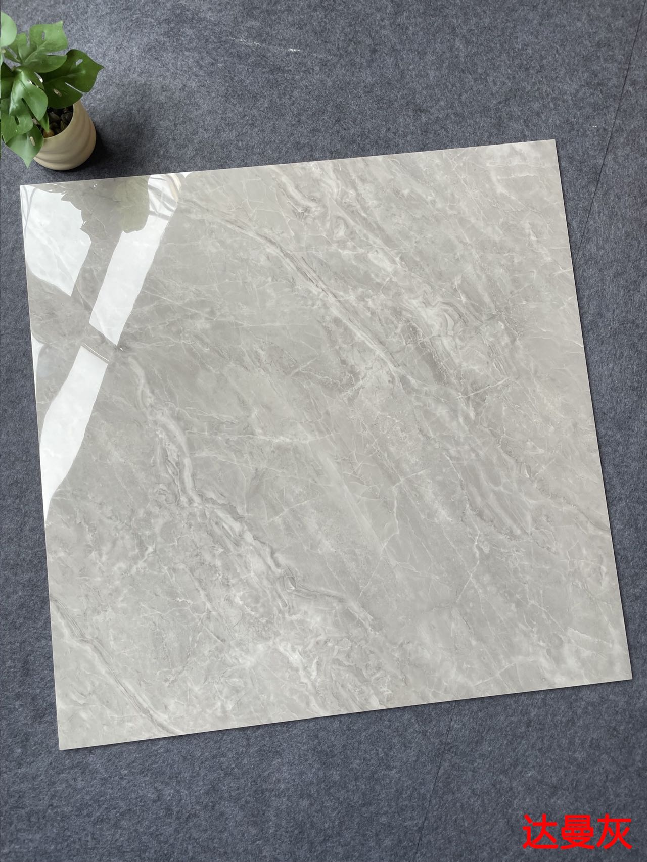 亮光 金刚通体大理石 GT8620达曼灰 一石五面 自由连纹 亮光通体