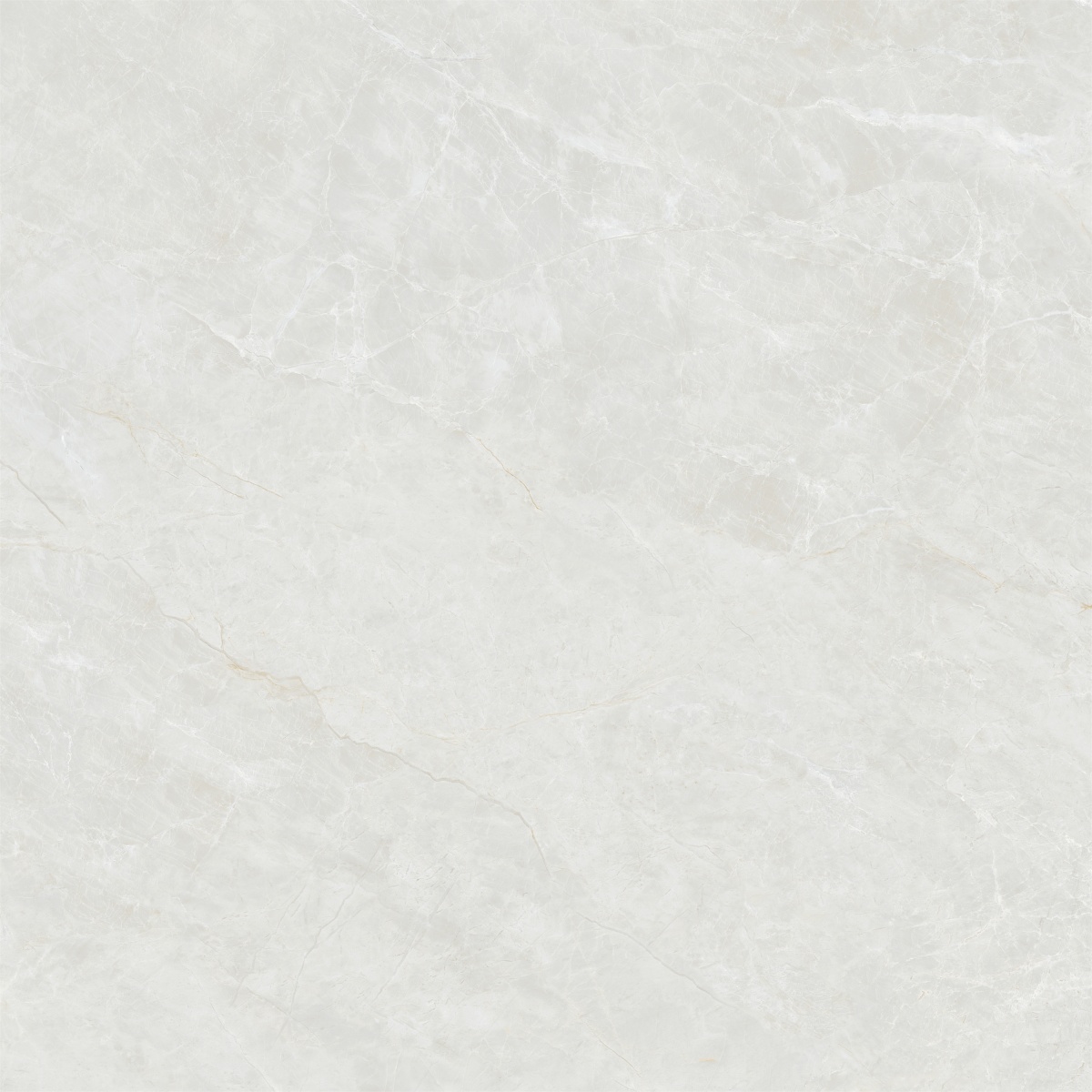 GTL81121M-白晞岩 (5)