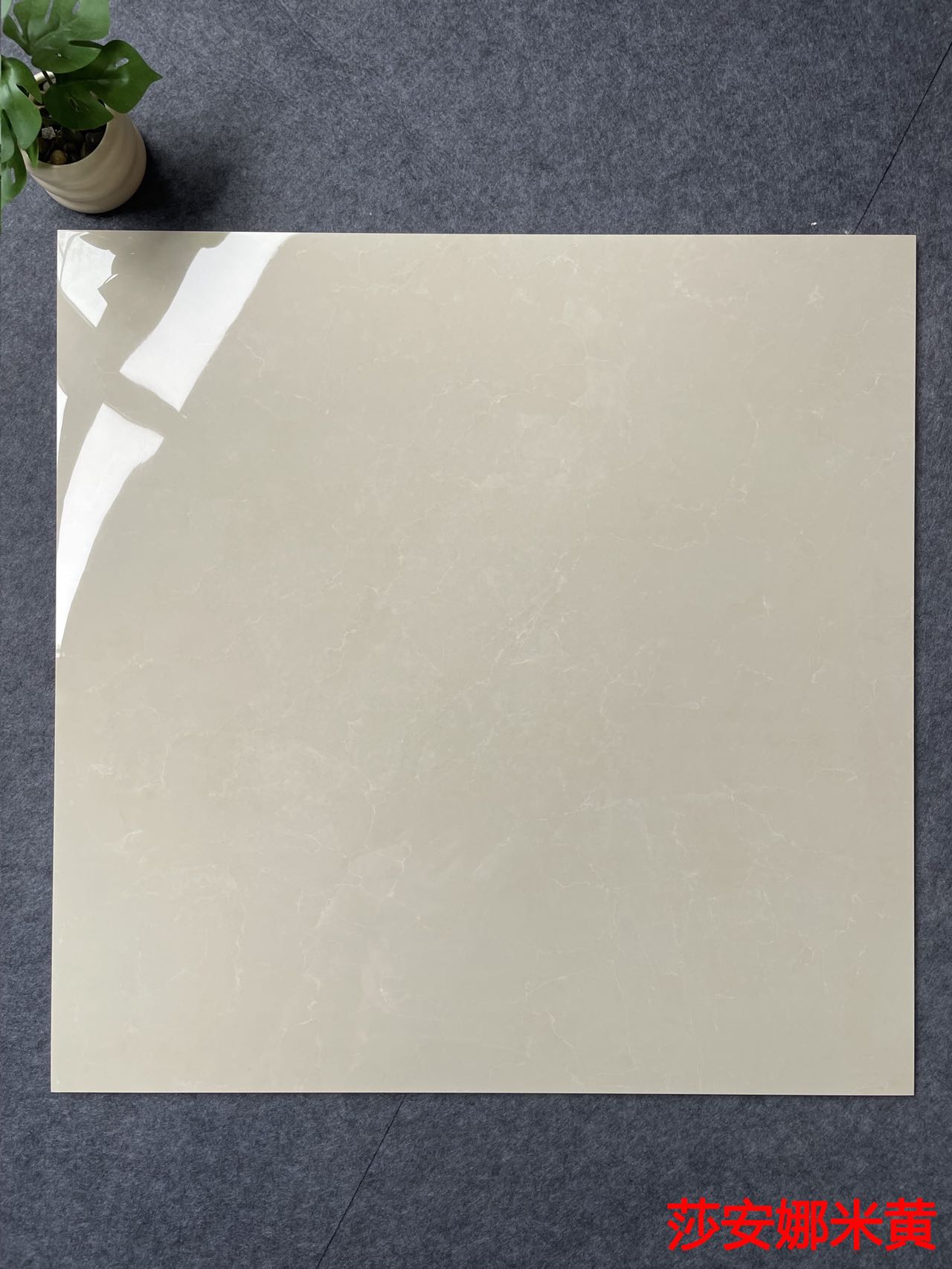 812H1214莎安娜米黄 亮光 12mm通体厚岩板 一石五面 自然切面 超防滑