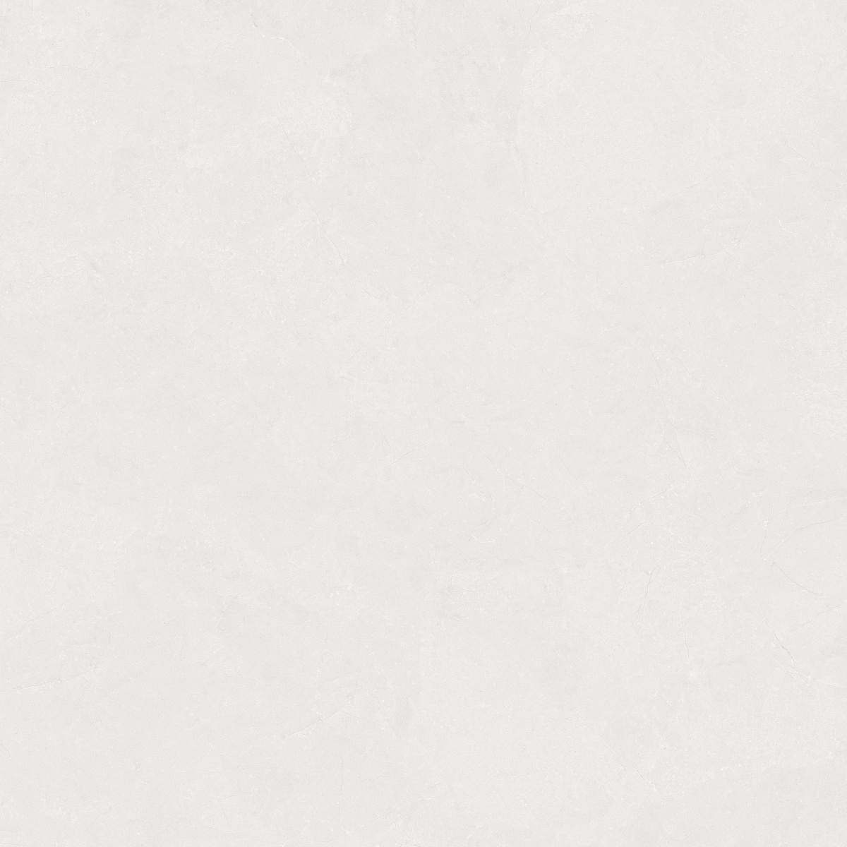 812H1216 科罗纳金浅灰_0004_图层 5