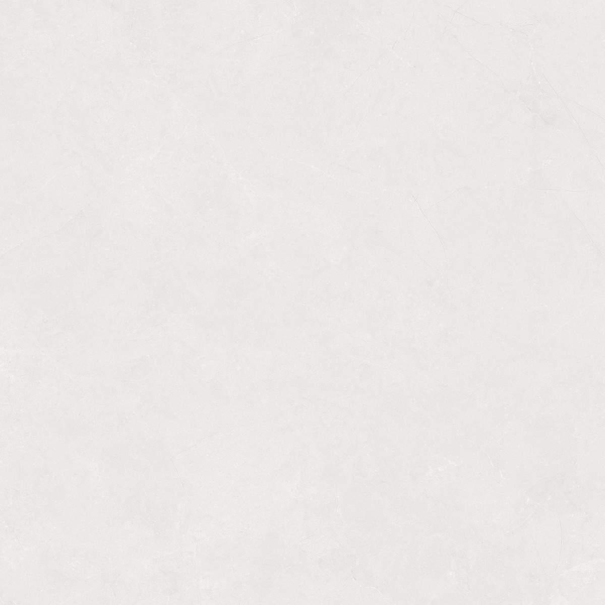 812H1216 科罗纳金浅灰_0002_图层 3