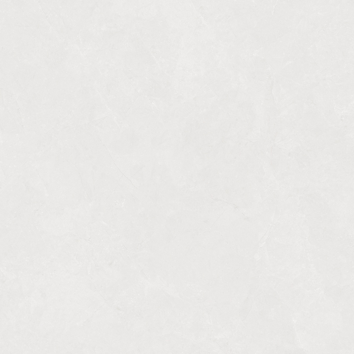 812H1216 科罗纳金浅灰_0003_图层 4