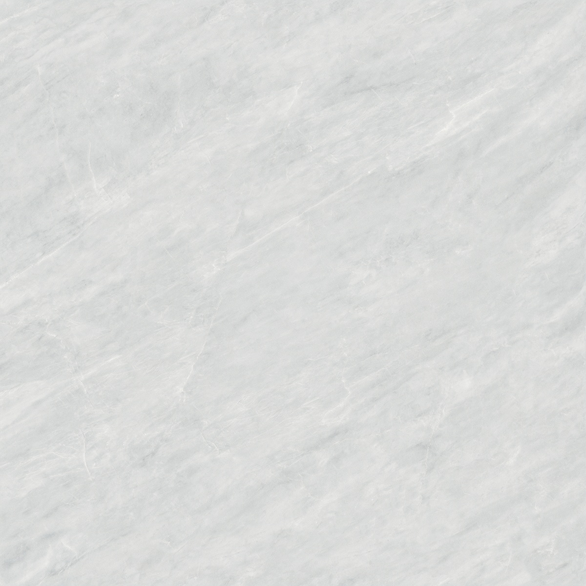 812H1218 菲拉格慕_0001_图层 2