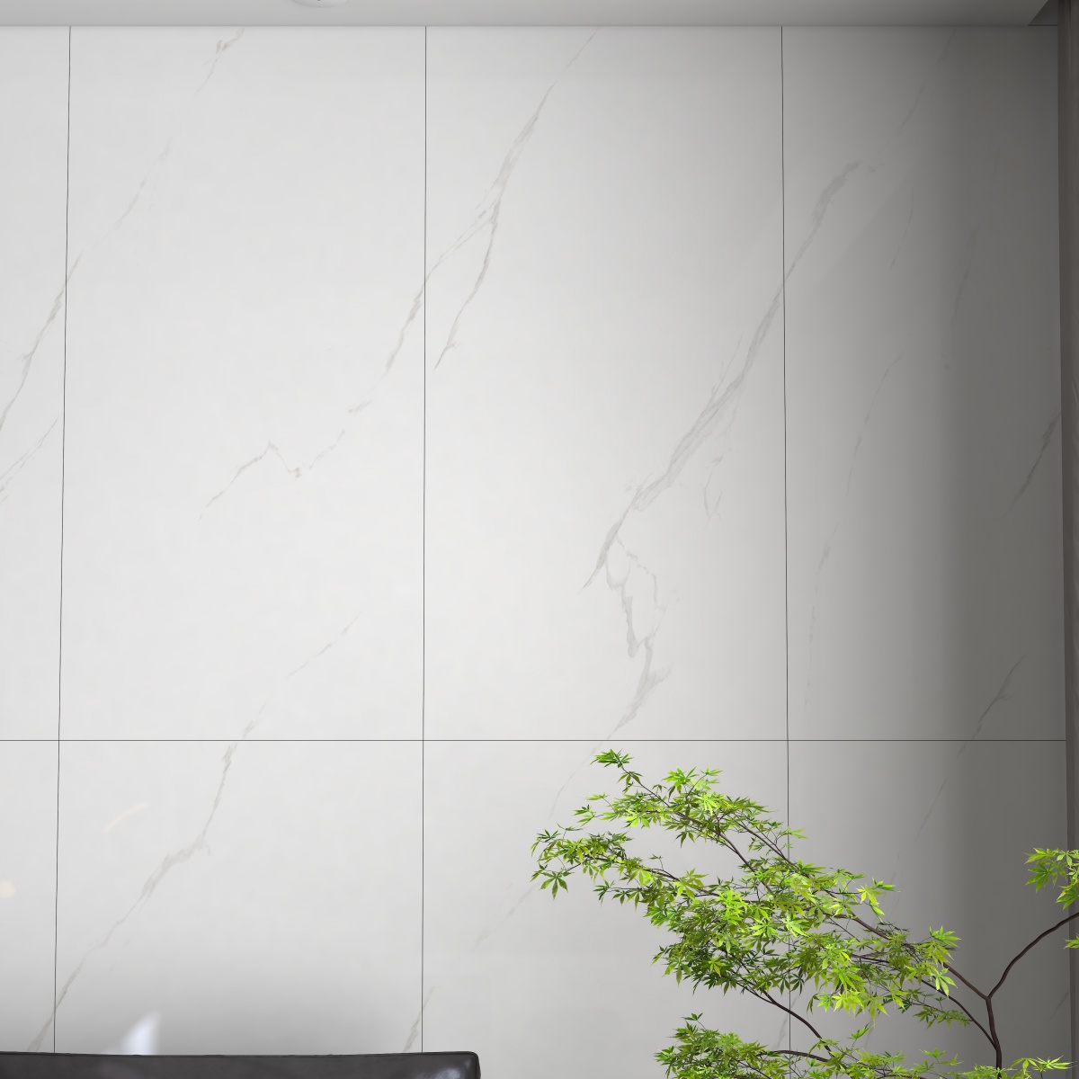 JM61201 冰岛白 效果图 (3)