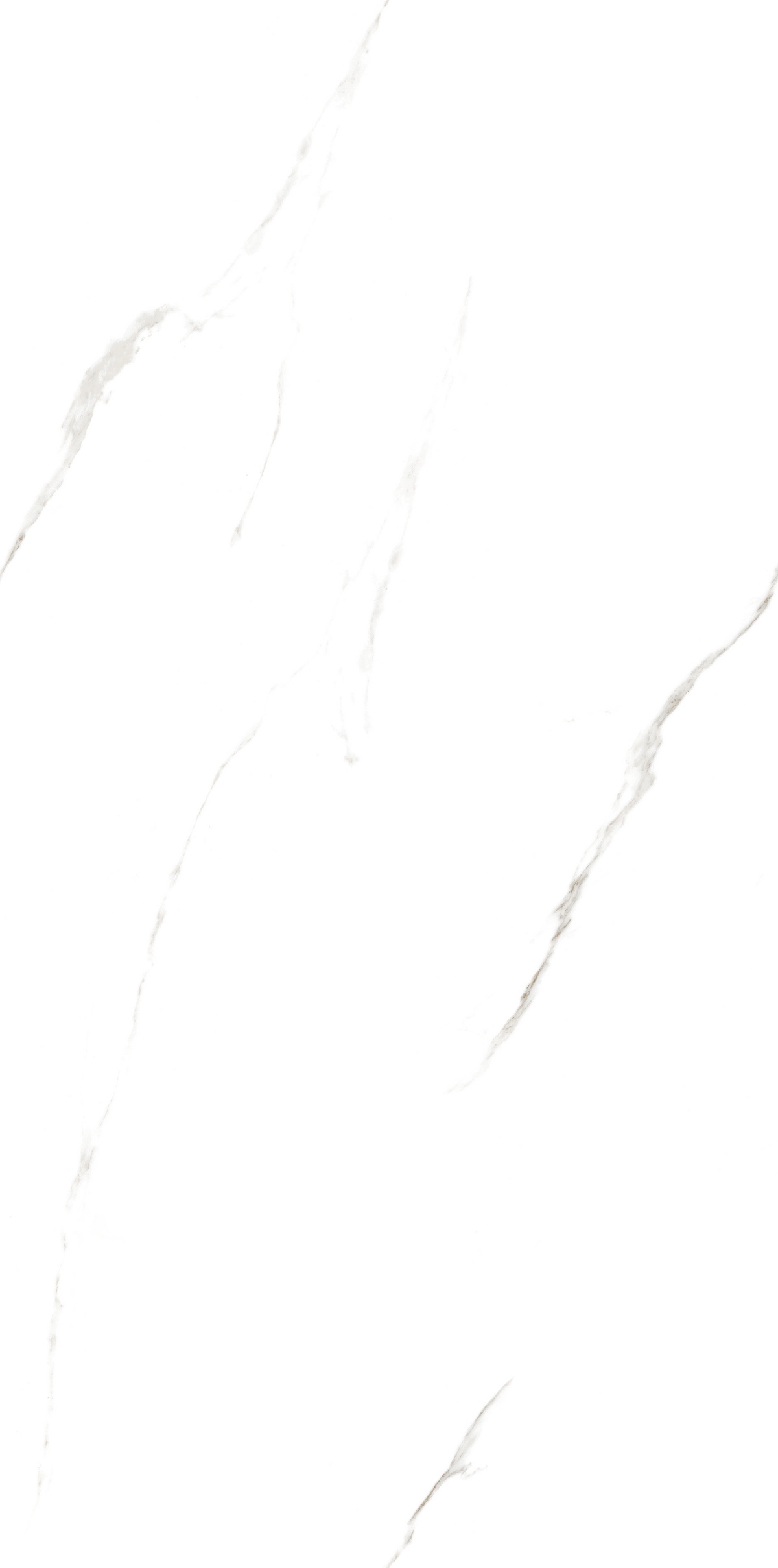 JM61201-冰岛白 (6)