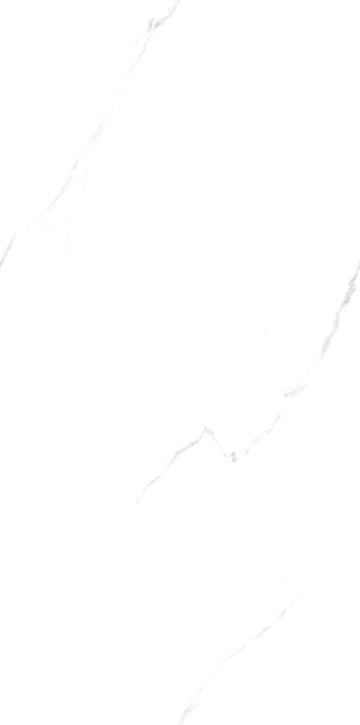 JM61201-冰岛白 (4)