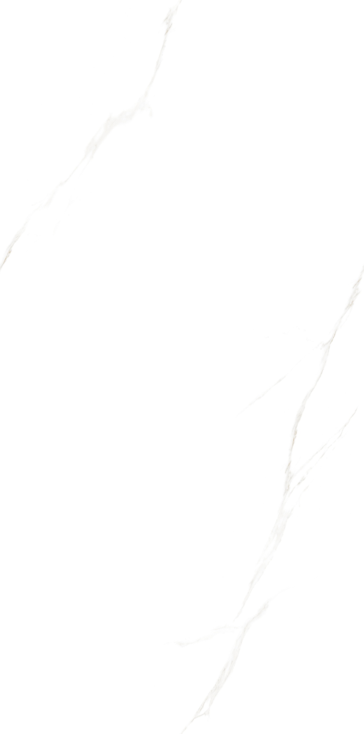 JM61201-冰岛白 (7)