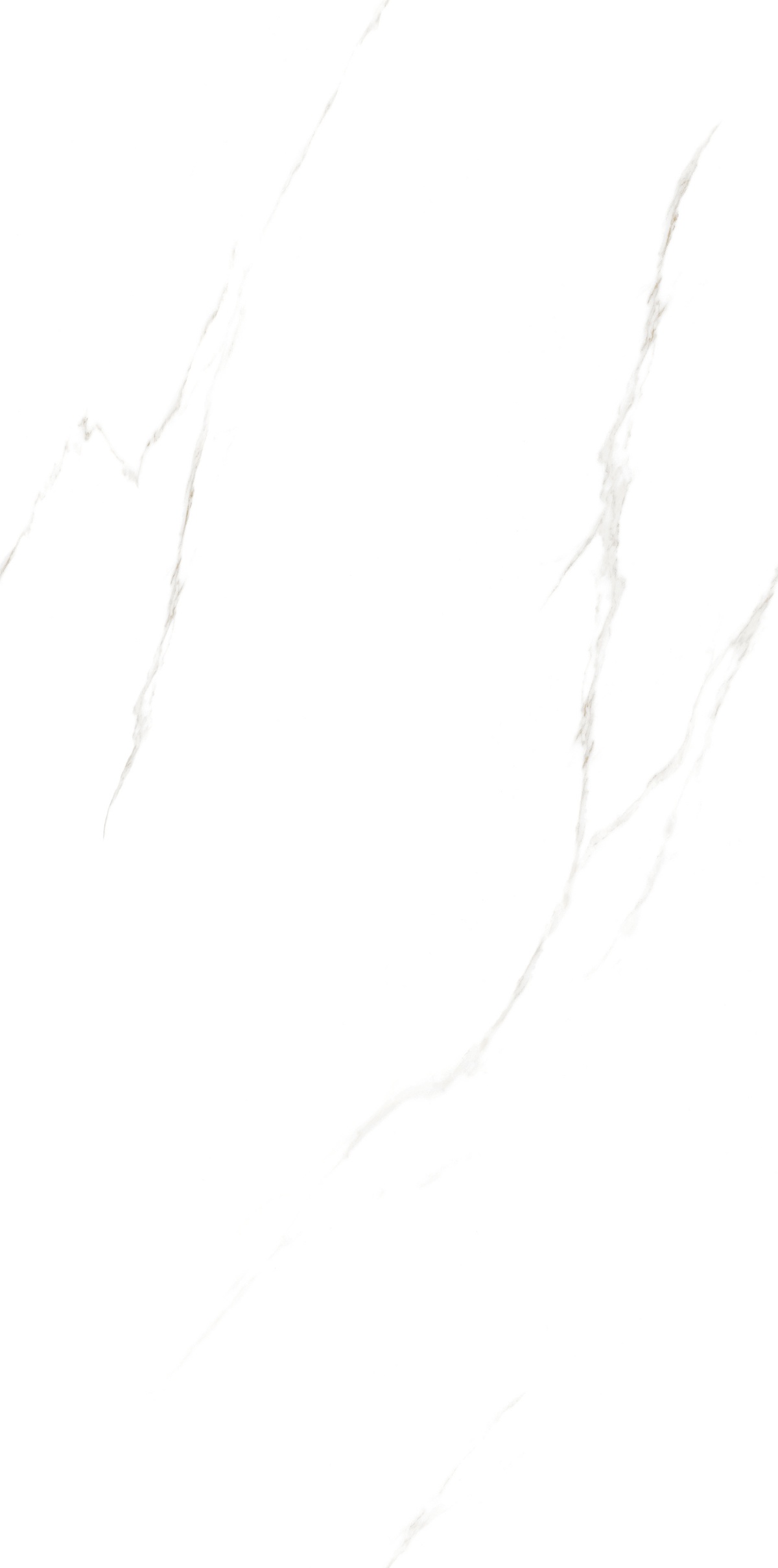 JM61201-冰岛白 (2)