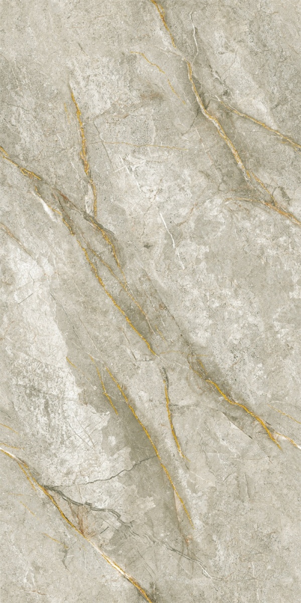 999K126001 迪拿金-2(1)