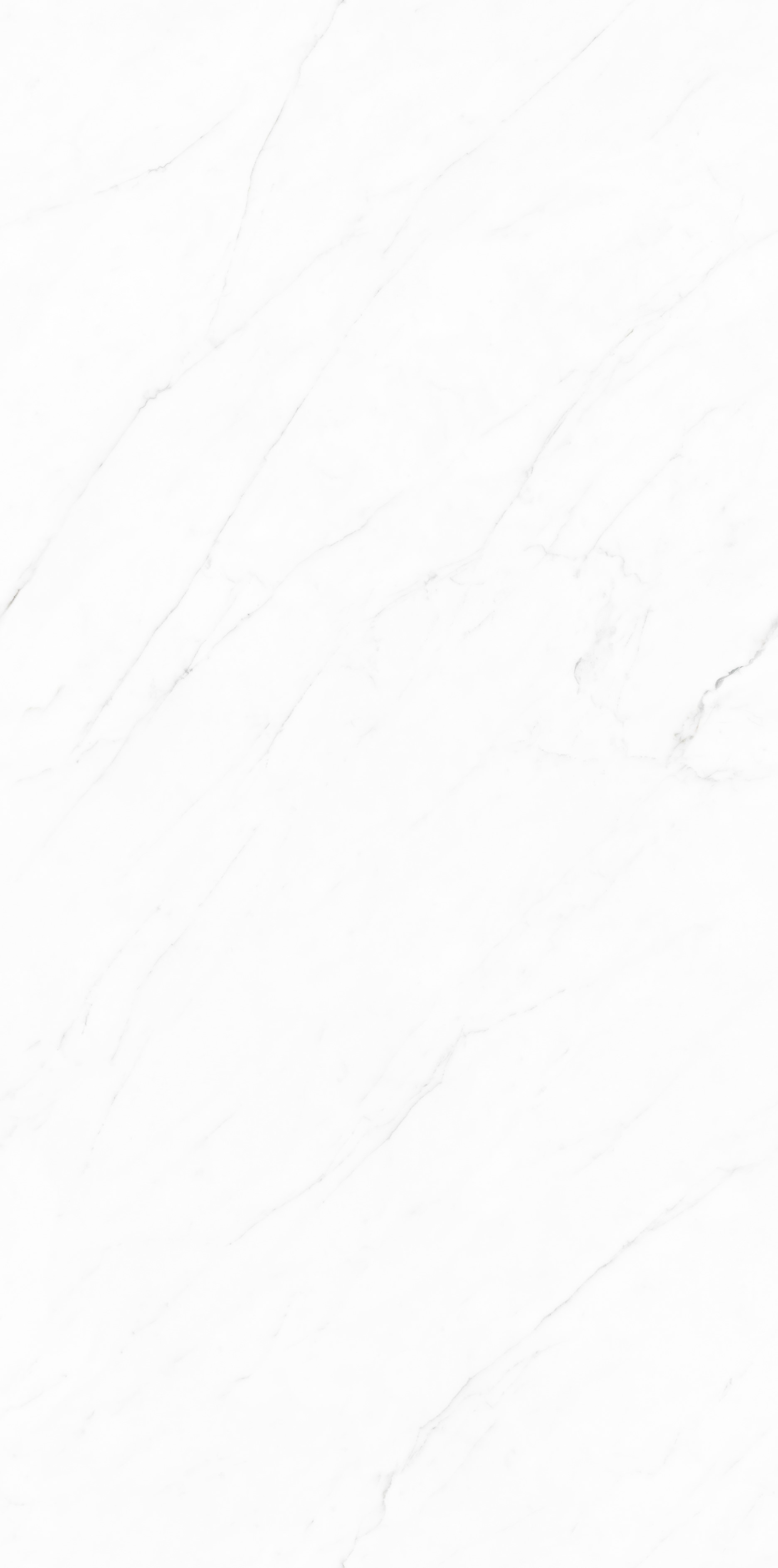 TC126308-白水晶-3