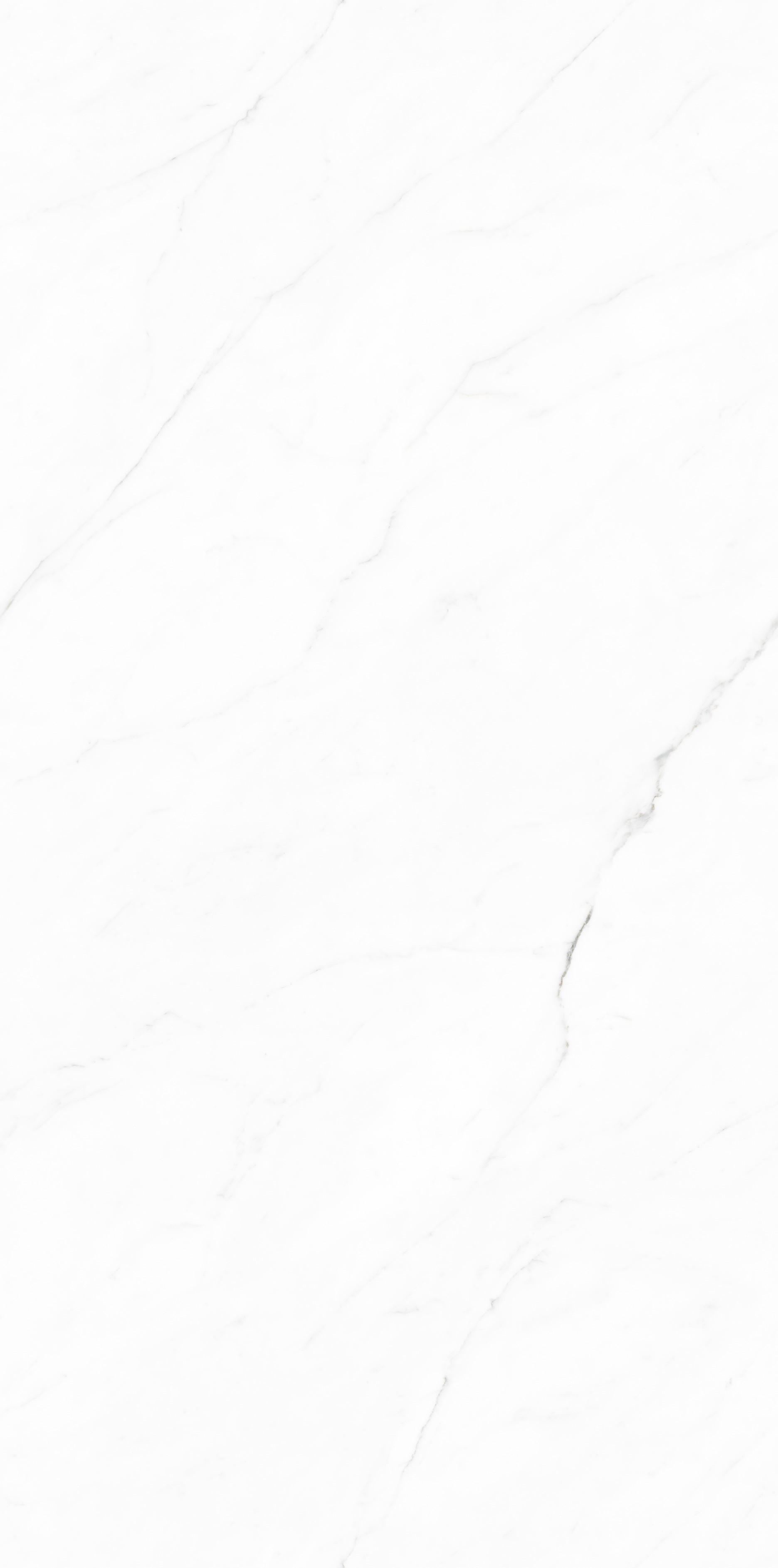 TC126308-白水晶-2