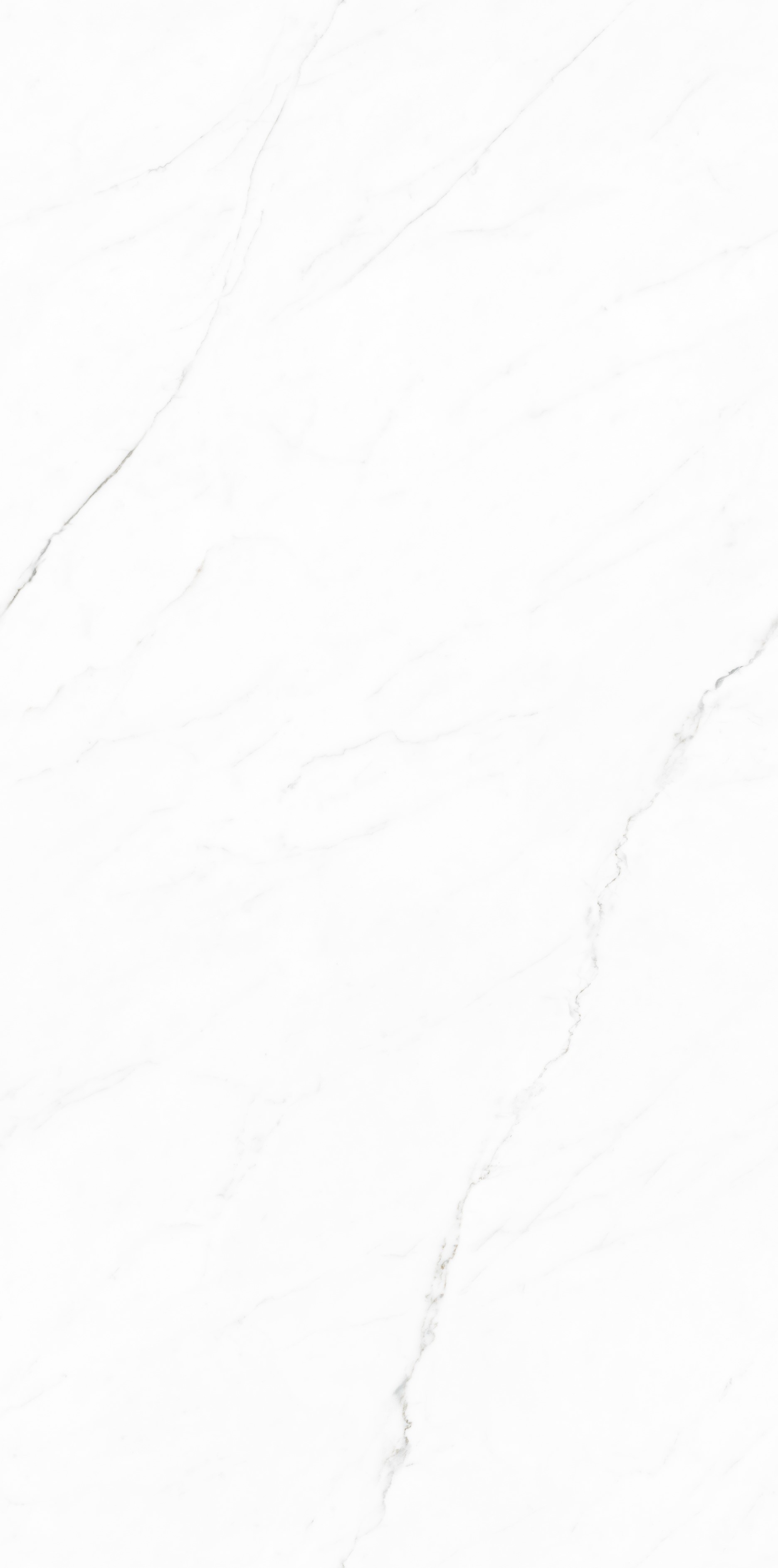 TC126308-白水晶-1