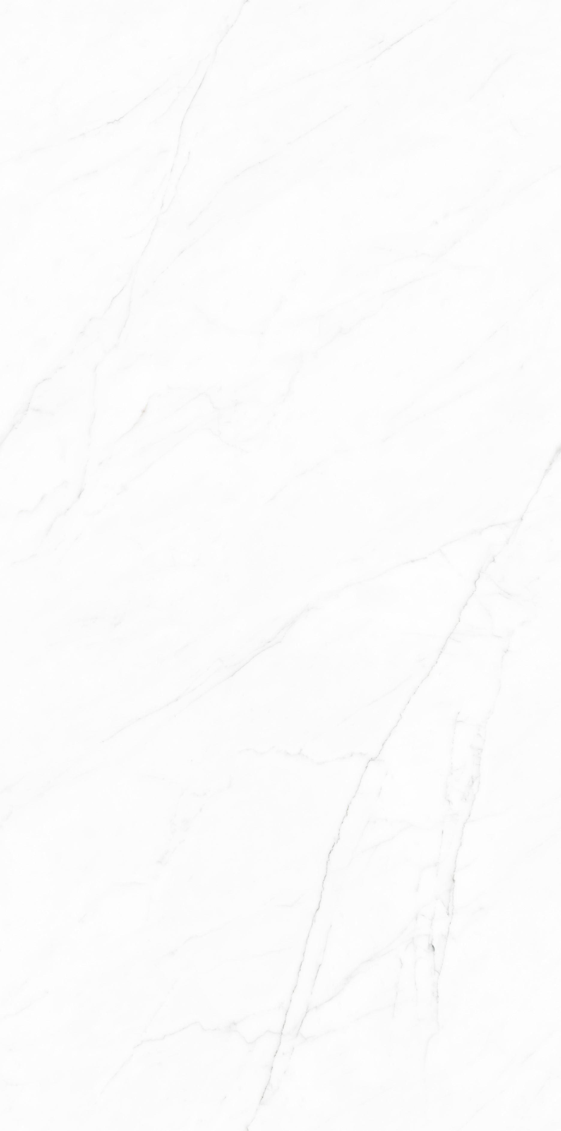 TC126308-白水晶-4