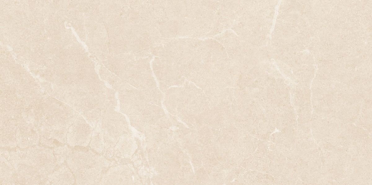 NS4811M-文莱米黄-1