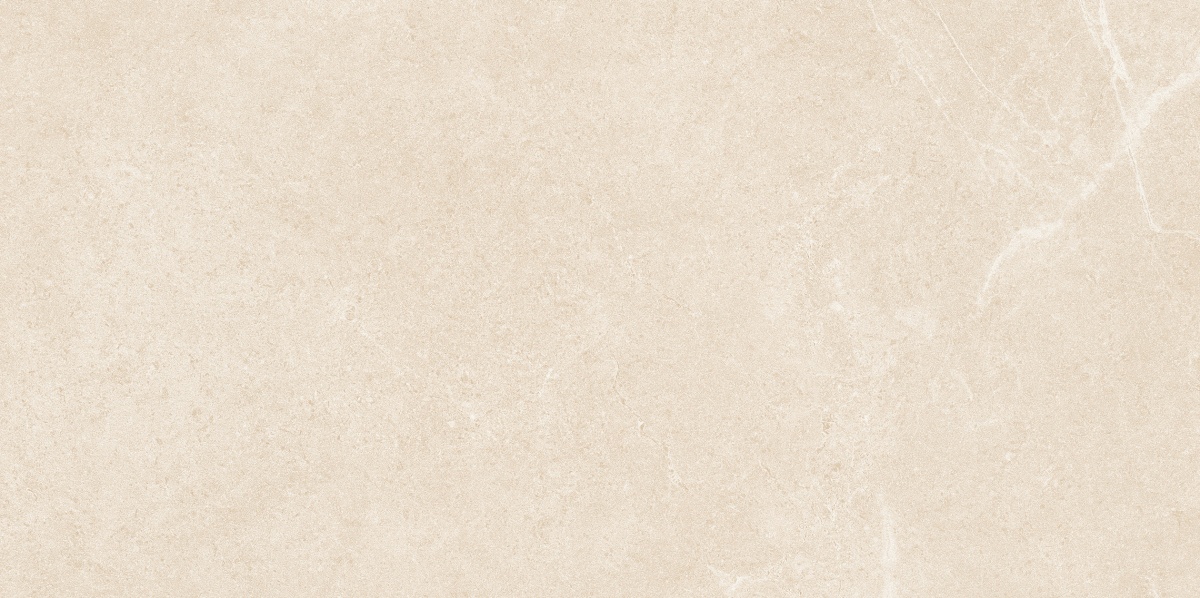 NS4811M-文莱米黄-4