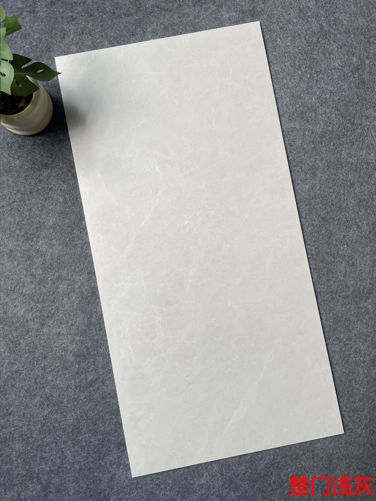 哑光 超耐磨素色  NS4832M楚门浅灰 一石四面 自然切面 肌肤釉 15°柔光 4级超耐磨 0.04%超低吸水率