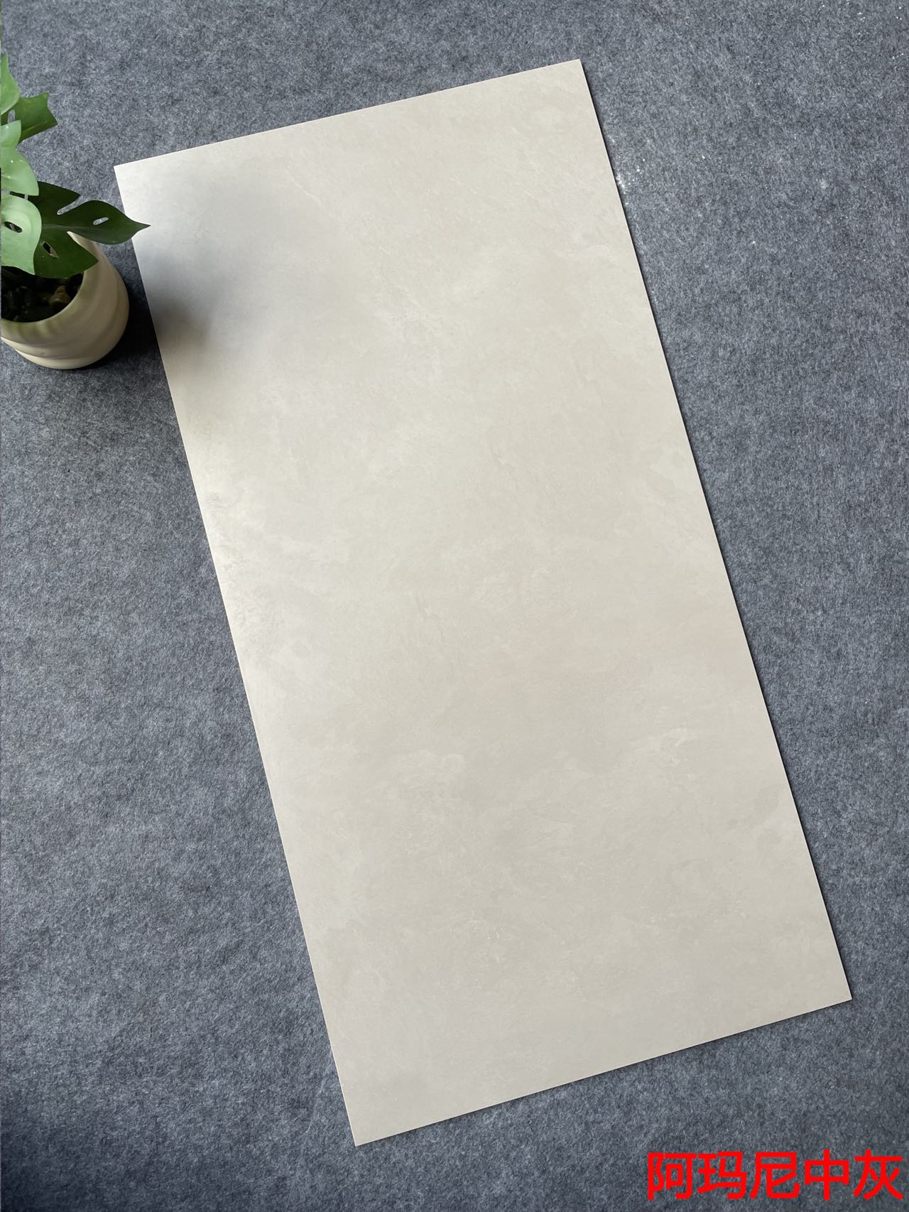 哑光 超耐磨素色  NS4807M阿玛尼中灰 一石四面 自然切面 肌肤釉 15°柔光 4级超耐磨 0.04%超低吸水率